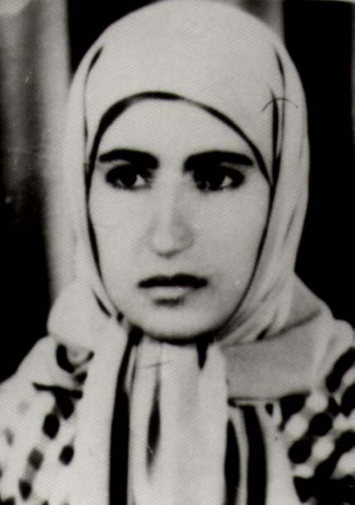 فاقد تصویر